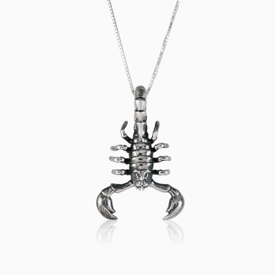 Passion Scorpio man Pendants Animale