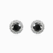Royal black onyx studs woman Earrings Halo