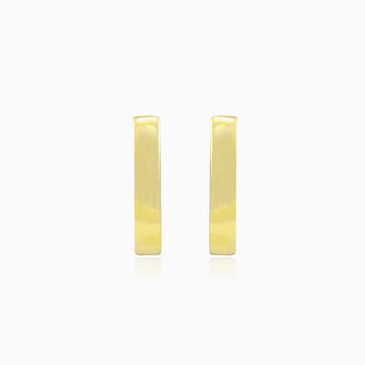 Minimalist gold earrings woman Earrings High polished