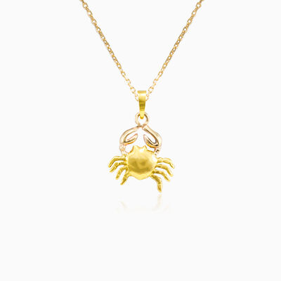 Gold Cancer Zodiac sign pendant unisex Pendants Zodiac signs