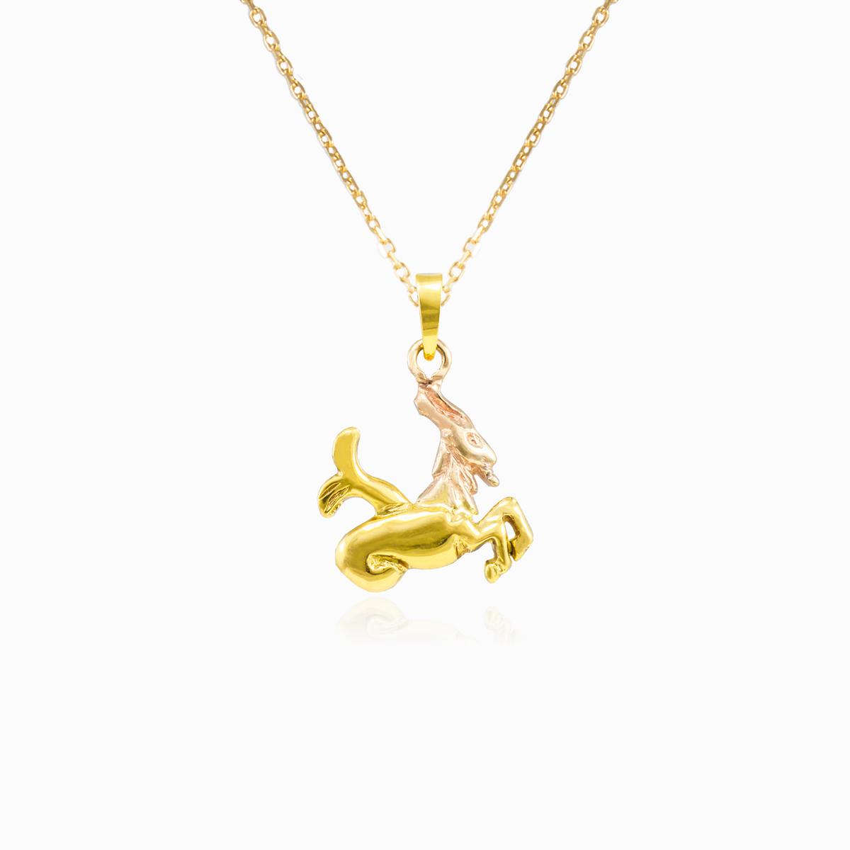 Colgante zodiaco Capricornio de oro unisex Colgantes signos del zodiaco N.1